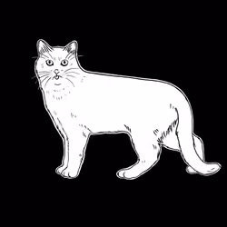 The Sad Cat #995