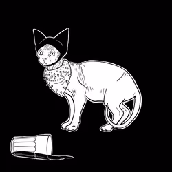 The Sad Cat #5681