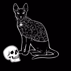 The Sad Cat #4392