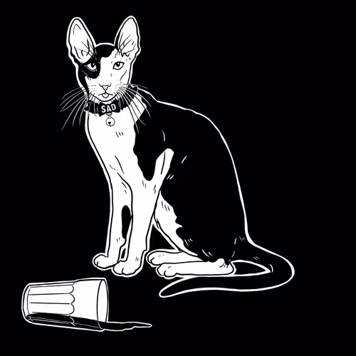 The Sad Cat #6302
