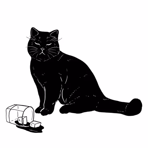 The Sad Cat #6176