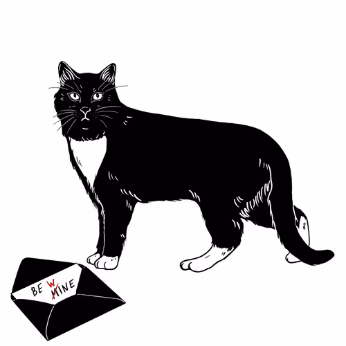 The Sad Cat #2539