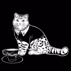 The Sad Cat #4578