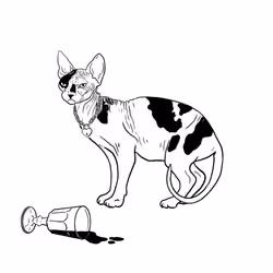 The Sad Cat #325