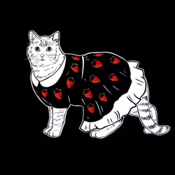The Sad Cat #4109