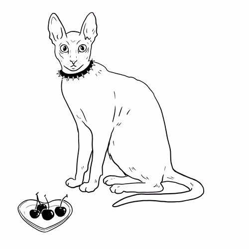 The Sad Cat #3137