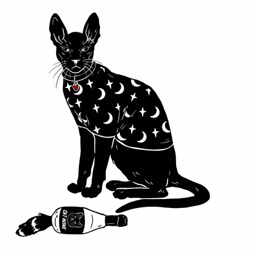 The Sad Cat #5813