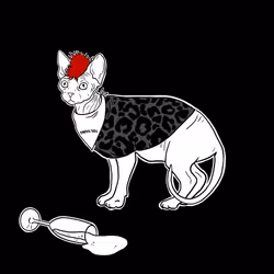 The Sad Cat #3274