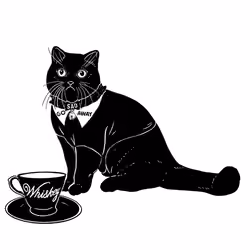 The Sad Cat #6489