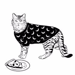 The Sad Cat #3660