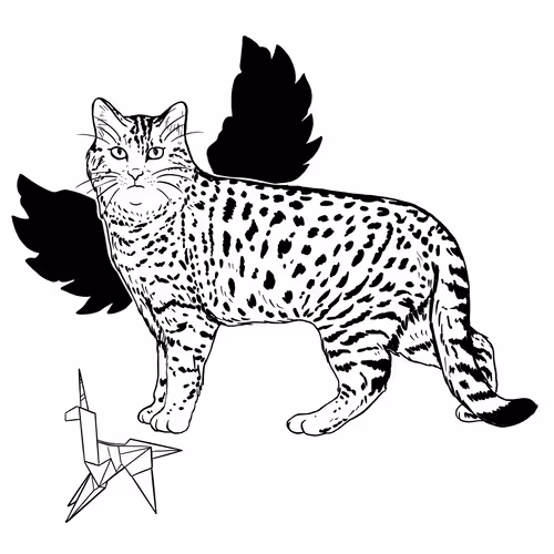 Thesadcats