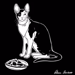 The Sad Cat #2508