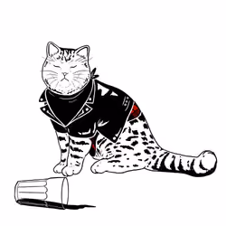 The Sad Cat #5609