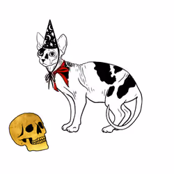 The Sad Cat #750