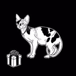 The Sad Cat #5741
