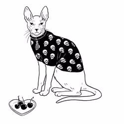 The Sad Cat #143