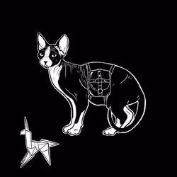 The Sad Cat #5625