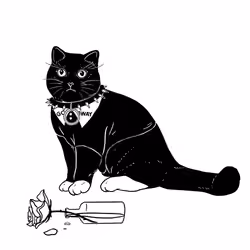 The Sad Cat #3572