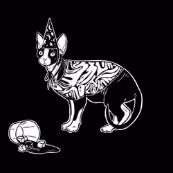 The Sad Cat #5046