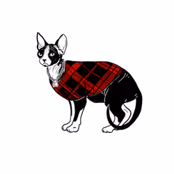 The Sad Cat #2819
