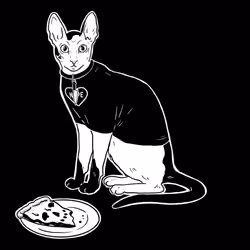 The Sad Cat #4015