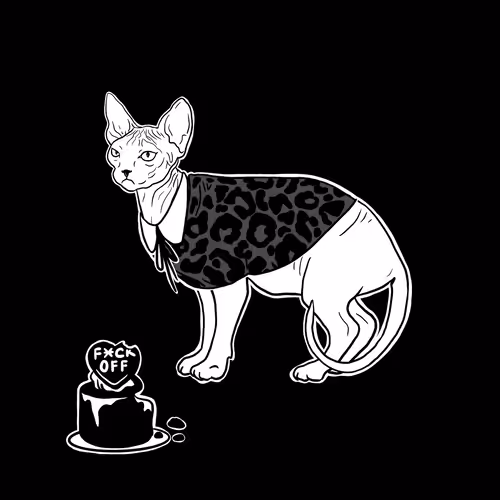 The Sad Cat #4591