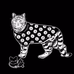 The Sad Cat #5591