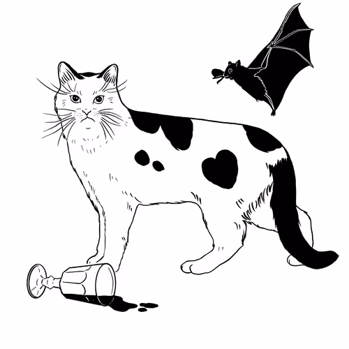 The Sad Cat #5151