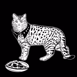 The Sad Cat #4003