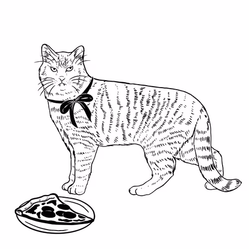 The Sad Cat #5563