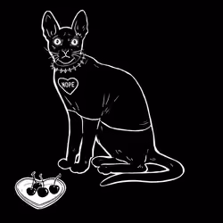 The Sad Cat #4127