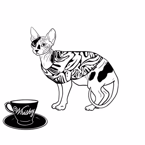 The Sad Cat #5047