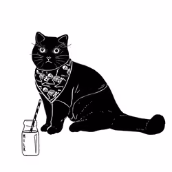 The Sad Cat #3351