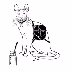 The Sad Cat #4925