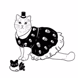 The Sad Cat #3699