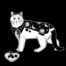 The Sad Cat #3448