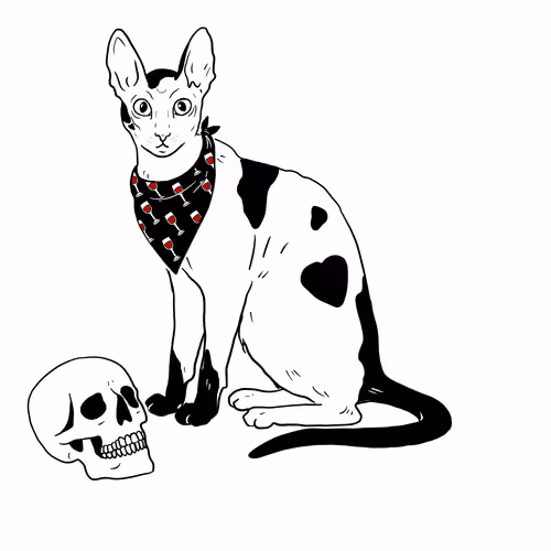 The Sad Cat #5098