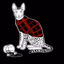 The Sad Cat #4134