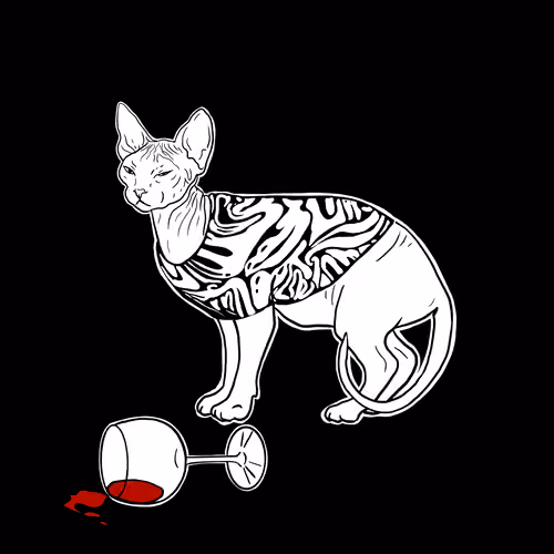 The Sad Cat #4990