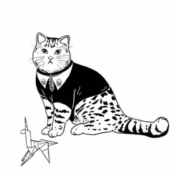 The Sad Cat #3266