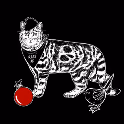 The Sad Cat #5846