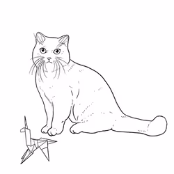 The Sad Cat #4481