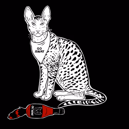 The Sad Cat #5100