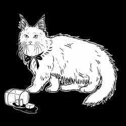 The Sad Cat #6407