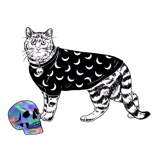 The Sad Cat #5737