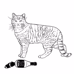 The Sad Cat #4700