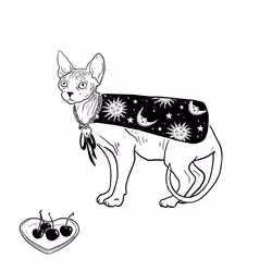 The Sad Cat #4023
