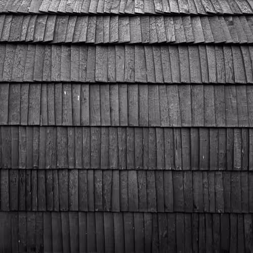 CACHIVACHES (monochrome)