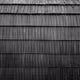 CACHIVACHES (monochrome)