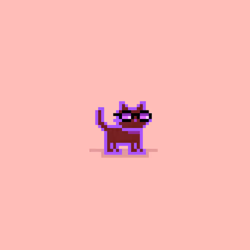 tiny catz #416